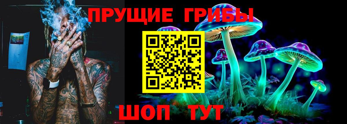 Холмск  Псилоцибиновые грибы MAGIC MUSHROOMS  Псилоцибиновые грибы мухоморы  Вход с VPN 